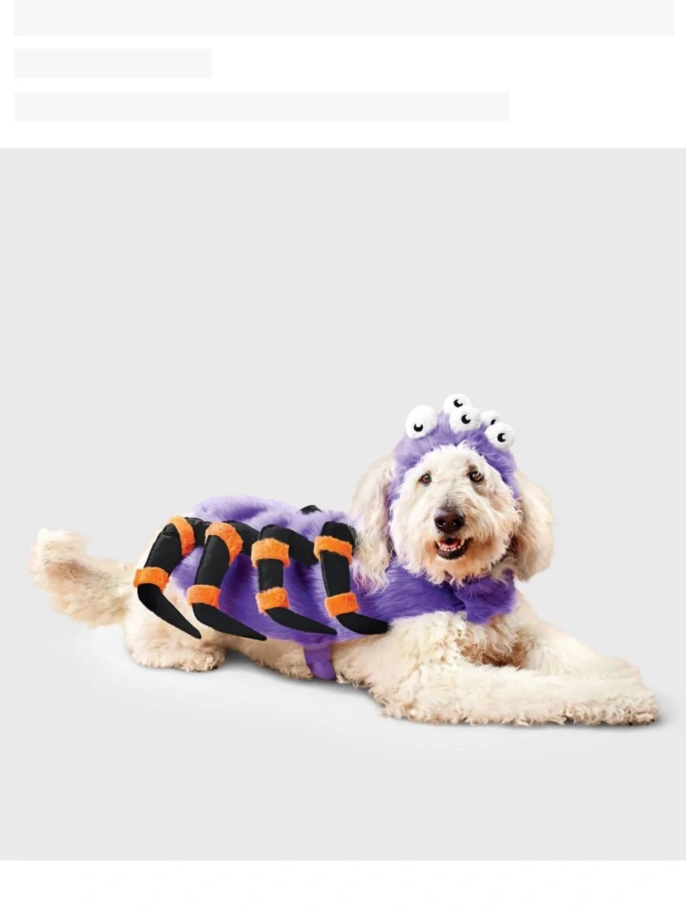 Boots & Barkley Spider Halloween dog Costume size small